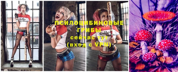 синтетический гашиш Богородск